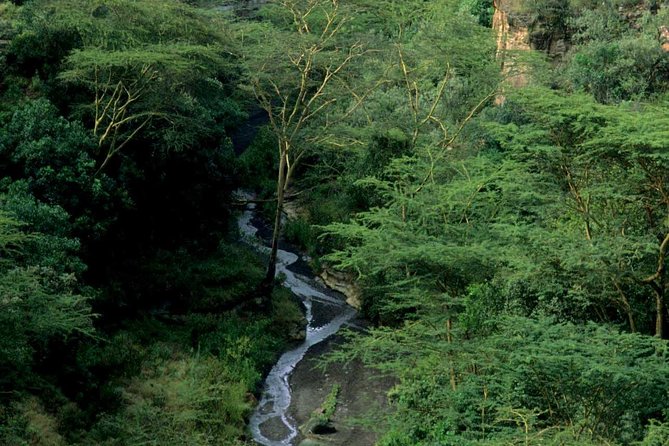 Small Group Budget Tour to Hells Gate National Park and Lake Naivasha Boat Ride - Who will enjoy this Nairobi day trip