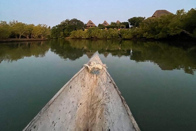 Sunset Canoe Tour on a River within the Mangroves - Why this quiet river trip adds something different to Diani