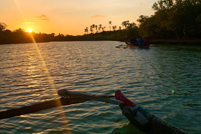 Sunset Canoe Tour on a River within the Mangroves - How much value do you get for $28?