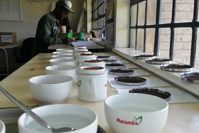 Tea Farm Experience at Riara Tea Farm And Factory Tour - The value of a $160 private tour
