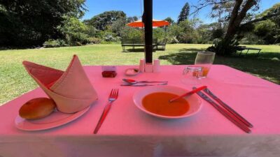 Tea Farm Tour From Nairobi (Kiambethu).