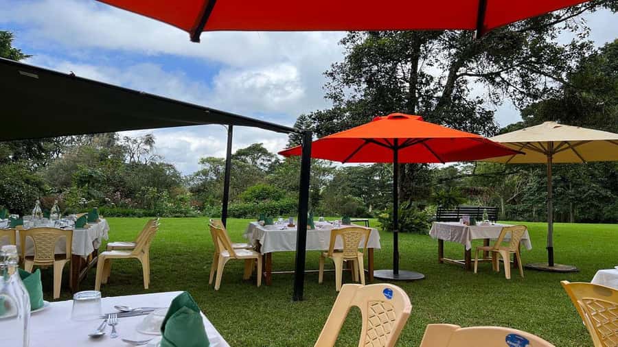 Tea Farm Tour From Nairobi (Kiambethu). - What the $50 price really covers