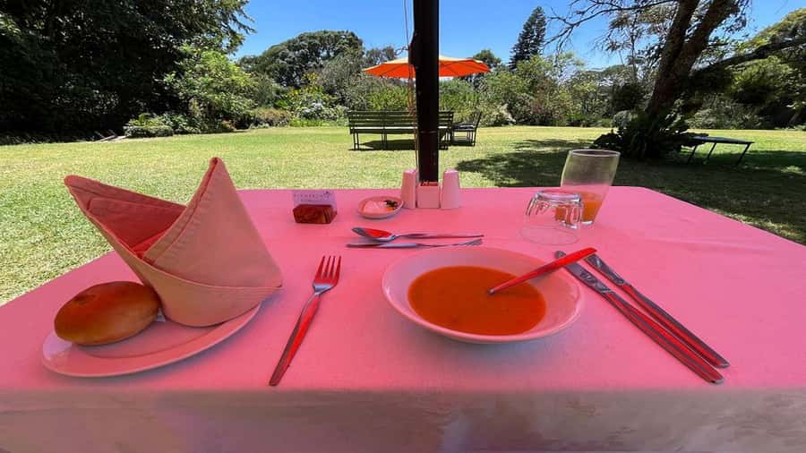 Tea Farm Tour From Nairobi (Kiambethu). - Starting with tea, coffee, and the farm story