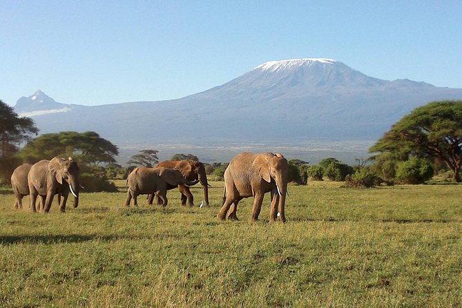 Thrilling 6 Days Amboseli-Lake Nakuru-Maasai Mara Budget Safari - What the $1,647.65 price really buys you