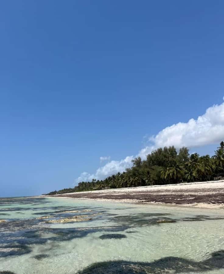 Tiwi Beach: Guided Tour to the African Pool - Swimming in the Africa-shaped pool