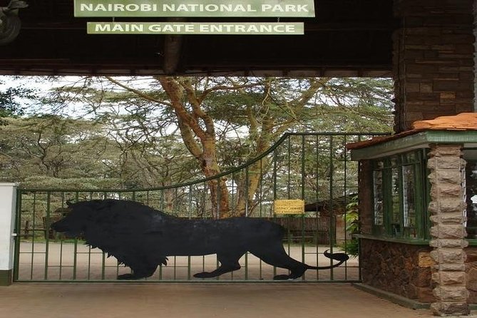 Tour: Giraffe Center and Nairobi National Park - Guides, timing, and the human side of the day