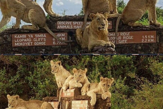Tour Safari; Nairobi National Park - The optional bead factory visit