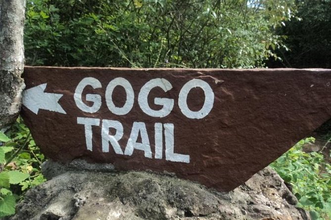 Tour to Giraffe Center from Nairobi - Why the Conservation Lesson Matters