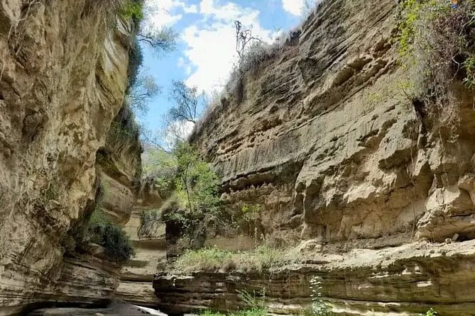 Tour to Hells Gate National park & L Naivasha boat ride - Quick reasons to consider this day trip