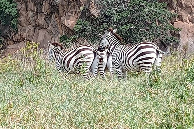 Tour to Hells Gate National park & L Naivasha boat ride - What the $90 price really covers