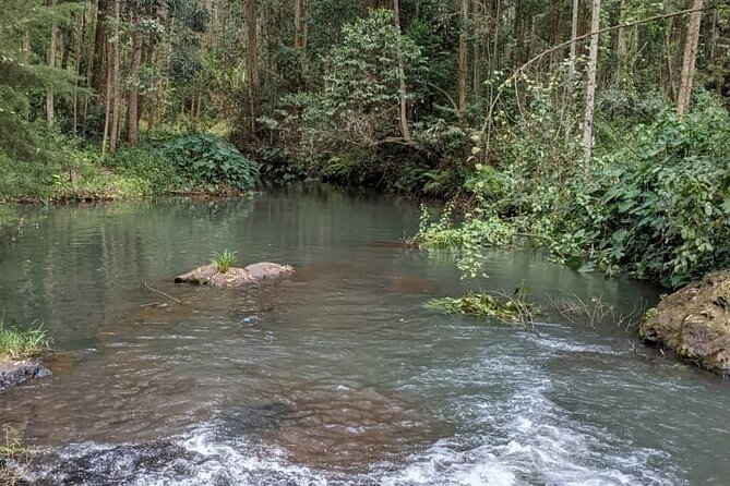 Trip from Nairobi to Muranga with Waterfall Hike and Picnic - Following the river on a moderate hike