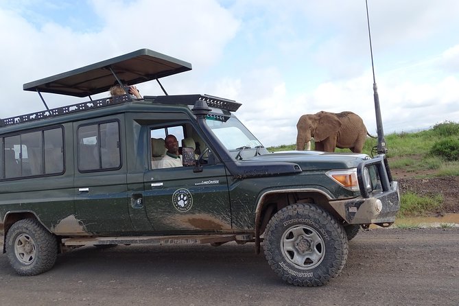 Tsavo East 1 Day Safari, Beach To Beach In 4wd Jeep - Lunch near the wildlife action
