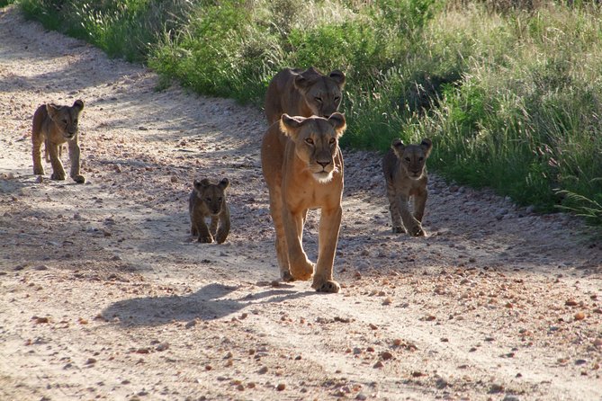 Tsavo East Amboseli and Tsavo West Safari 4 Days starting Malindi - Why this three-park route works