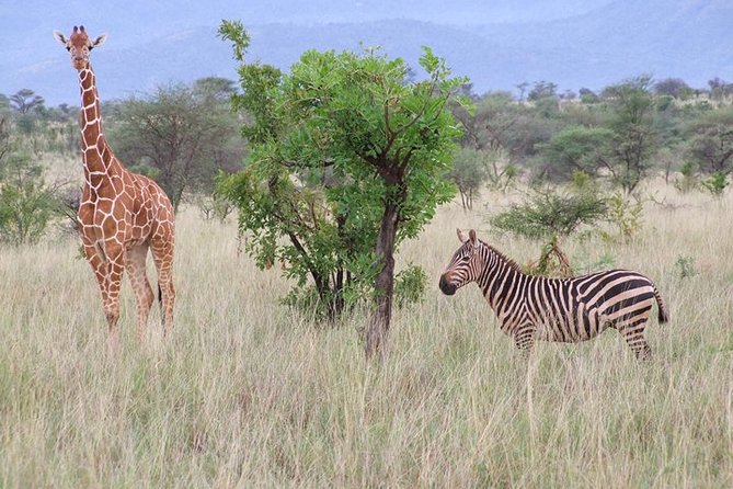 Tsavo East and Ngutuni Sanctuary Safari 3 days from Mombasa - Lugard Falls and the Galana River setting