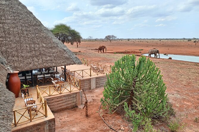 Tsavo East and Ngutuni Sanctuary Safari 3 days from Mombasa - Practical details that matter