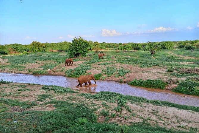 Tsavo East and Ngutuni Sanctuary Safari 3 days from Mombasa - Day two brings the wide-open Tsavo East