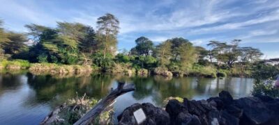 Tsavo East and Tsavo West Sanctuary Safari
