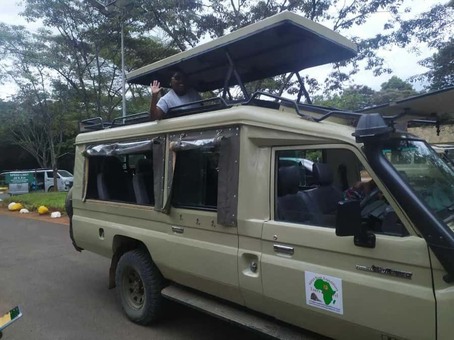 Tsavo East National Park: 2-Day Tour from Mombasa - Day two: the early drive and the return to Mombasa