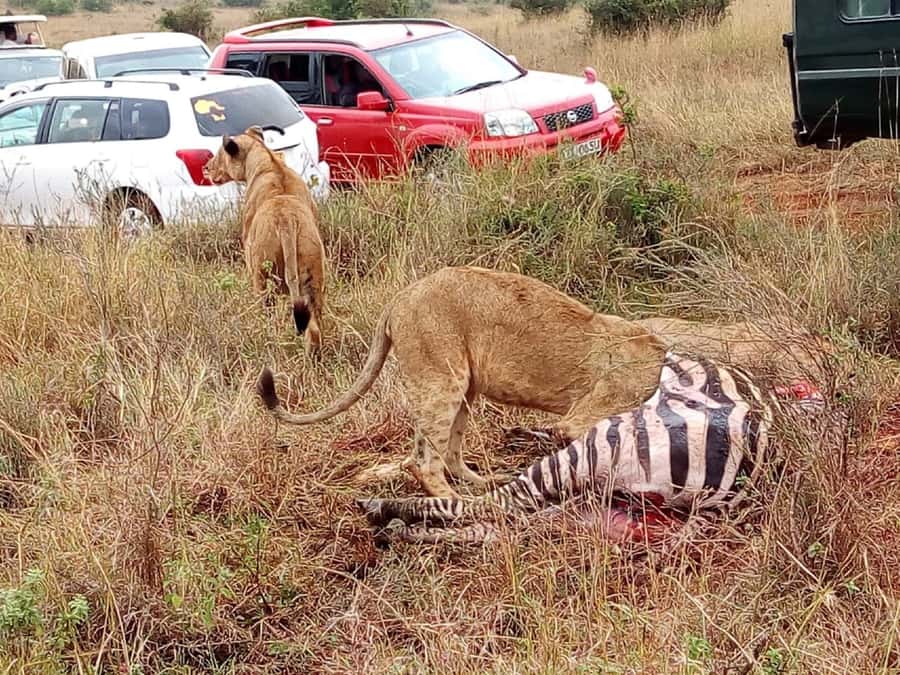 Tsavo East National Park: 2-Day Tour from Mombasa - What is included, and where extra costs appear