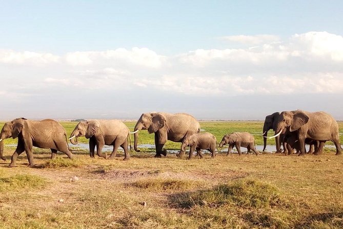 Tsavo East & west, Amboseli 5days from Mombasa - Day 5: Nairobi, Emali, and the return question