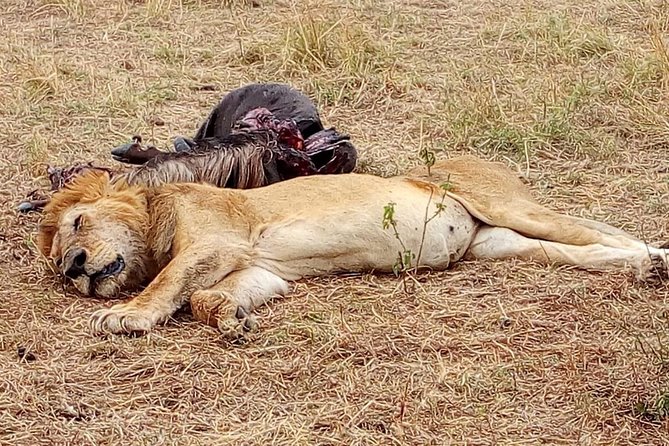 Tsavo National Park Small group Day trip - The three-hour road to Bachuma Gate