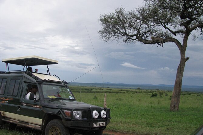 Ultimate 12 Days Private Safari Tour in Kenya and Tanzania - Day 8: Ngorongoro Crater from the floor to the rim