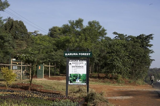 Urban Forest Tour in Nairobi - Why Karura Forest Makes a Good Nairobi Break