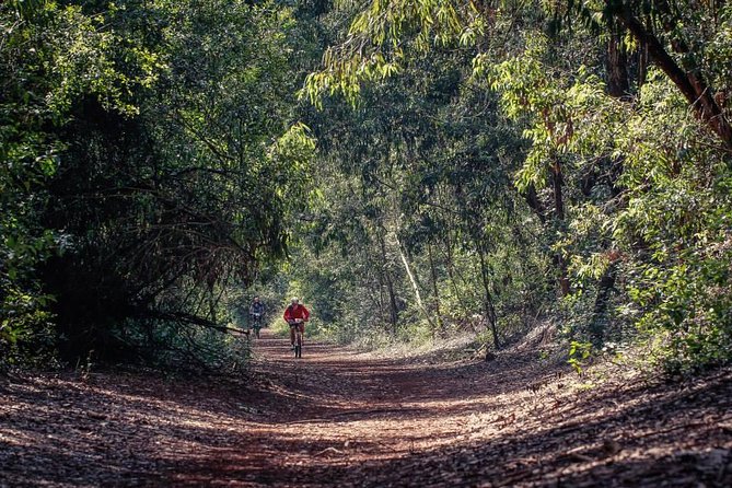 Urban Forest Tour in Nairobi - Starting at Gate C Along Kiambu Road