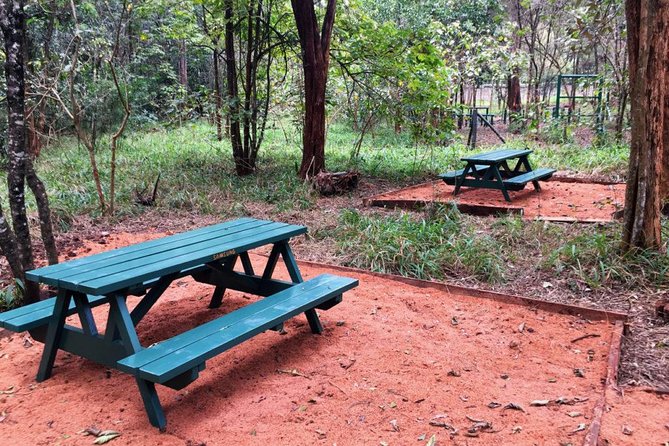 Urban Forest Tour in Nairobi - Following Woodland Paths, Wetlands, and Open Trails