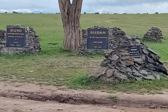 Vegans special safari - Lake Naivasha brings water, birds, and a change of pace