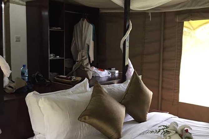 Vegans special safari - Amboseli delivers elephants and Kilimanjaro views