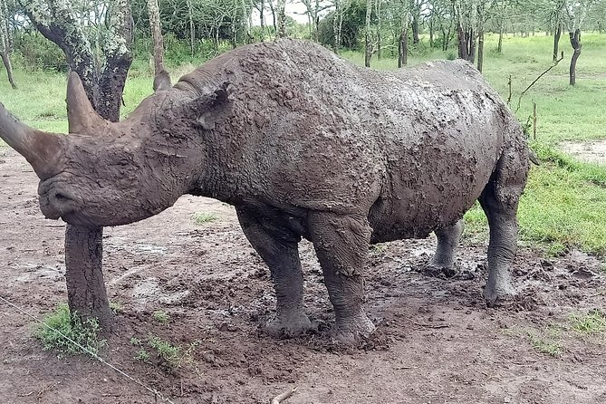 Vegans special safari - What the $3,076.93 price really covers