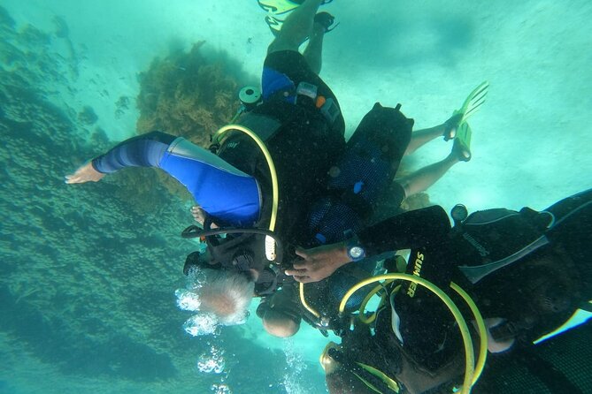 Wasini Day Tour - Snorkeling in the marine park