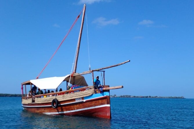 Wasini Day Tour - Dolphin spotting near Kisite-Mpunguti