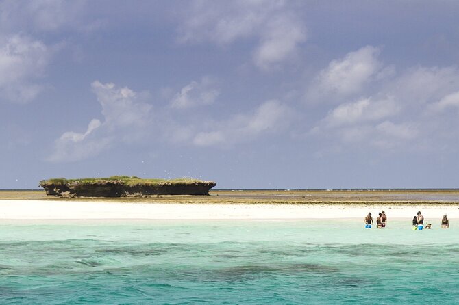 Wasini Dolphin Snorkeling - Who should book this outing?
