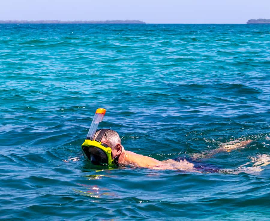 Wasini Island: Dolphin Spotting & Snorkel at Kisite Mpunguti - The Shimoni slave caves option