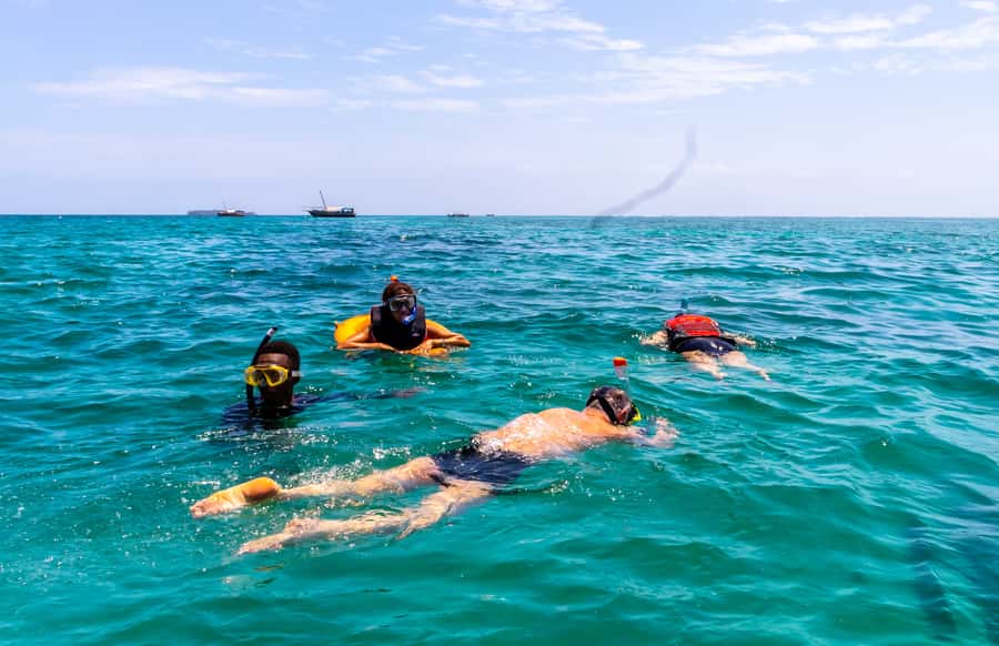 Wasini Island: Dolphin Spotting & Snorkel at Kisite Mpunguti - Setting sail on a traditional dhow