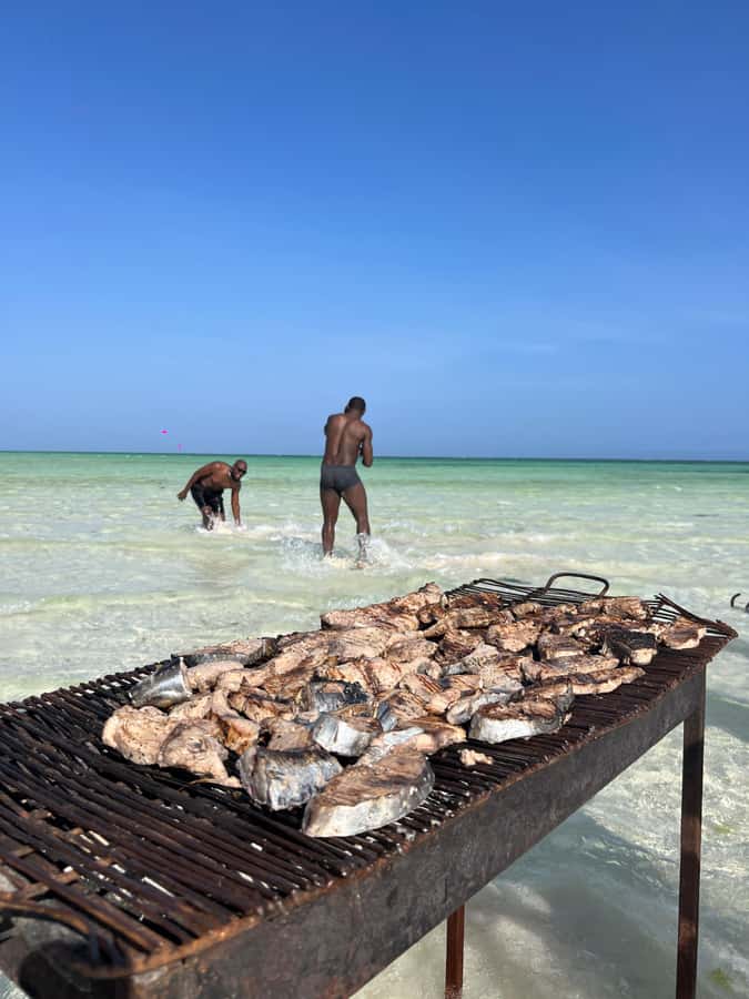WATAMU: MALINDI: SARDEGNA ISLAND & MALINDI MARINE PARK - Key points to know before you book