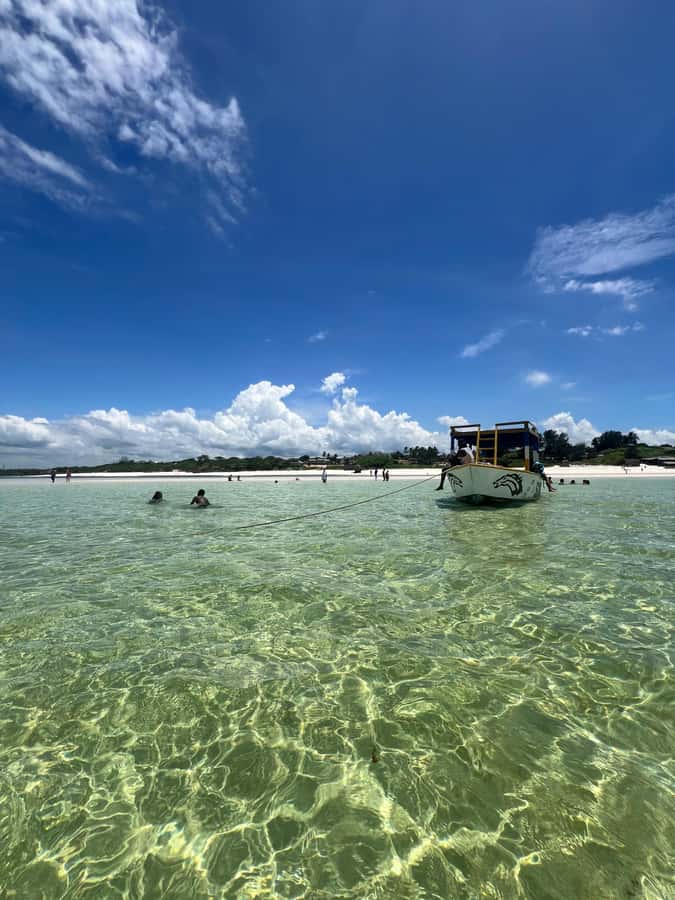 WATAMU: MALINDI: SARDEGNA ISLAND & MALINDI MARINE PARK - What this Malindi marine day is really like
