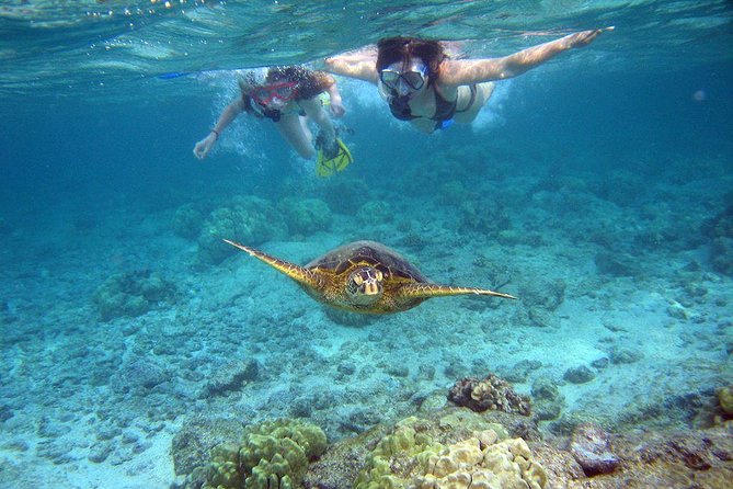 Watamu Marine Park & Sudi Island Mangrove Forest Canoe Ride.With sea food lunch - Leaving Mombasa for Watamu’s north coast