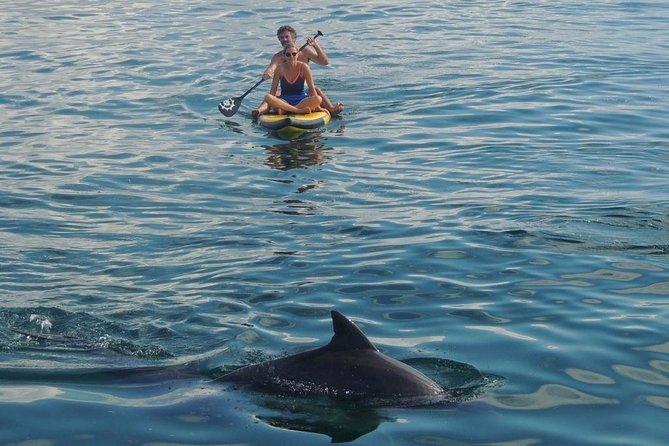 Watamu Marine Park & Sudi Island Mangrove Forest Canoe Ride.With sea food lunch - Snorkeling in Watamu Marine Park
