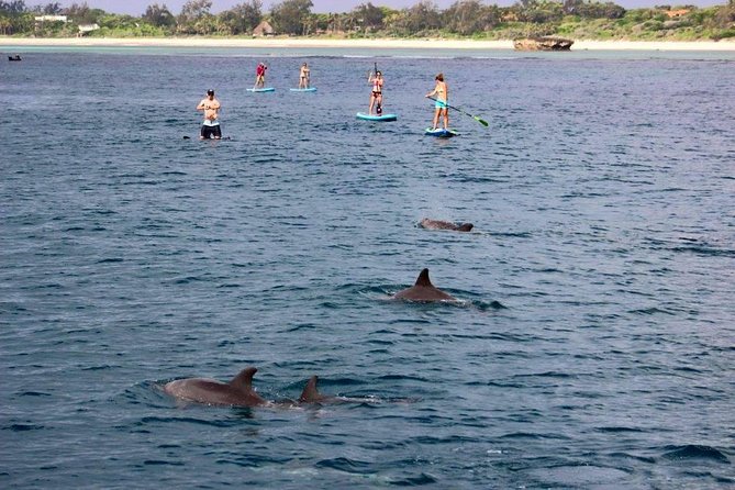 Watamu Marine Park & Sudi Island Mangrove Forest Canoe Ride.With sea food lunch - Who will enjoy this Watamu day most