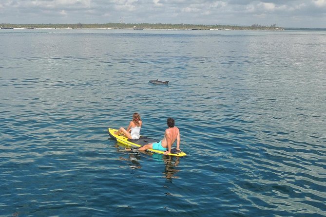 Watamu Marine Park & Sudi Island Mangrove Forest Canoe Ride.With sea food lunch - Boarding the glass-bottom boat at Watamu
