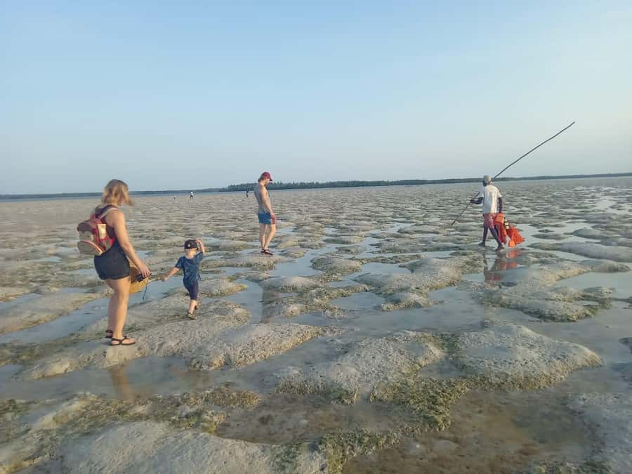 Watamu: Sunset Mangrove Canoe Tour with Coconut Drink - Key points at a glance