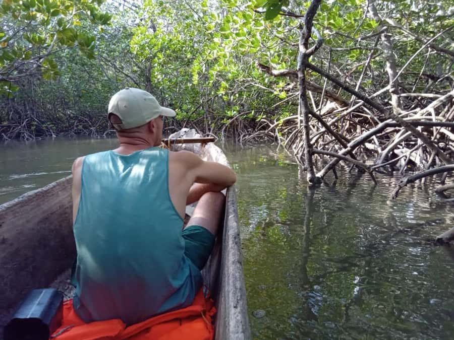 Watamu: Sunset Mangrove Canoe Tour with Coconut Drink - The birdlife of Mida Creek