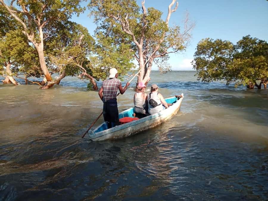 Watamu: Sunset Mangrove Canoe Tour with Coconut Drink - Coconut, palm wine, and Giriama village life